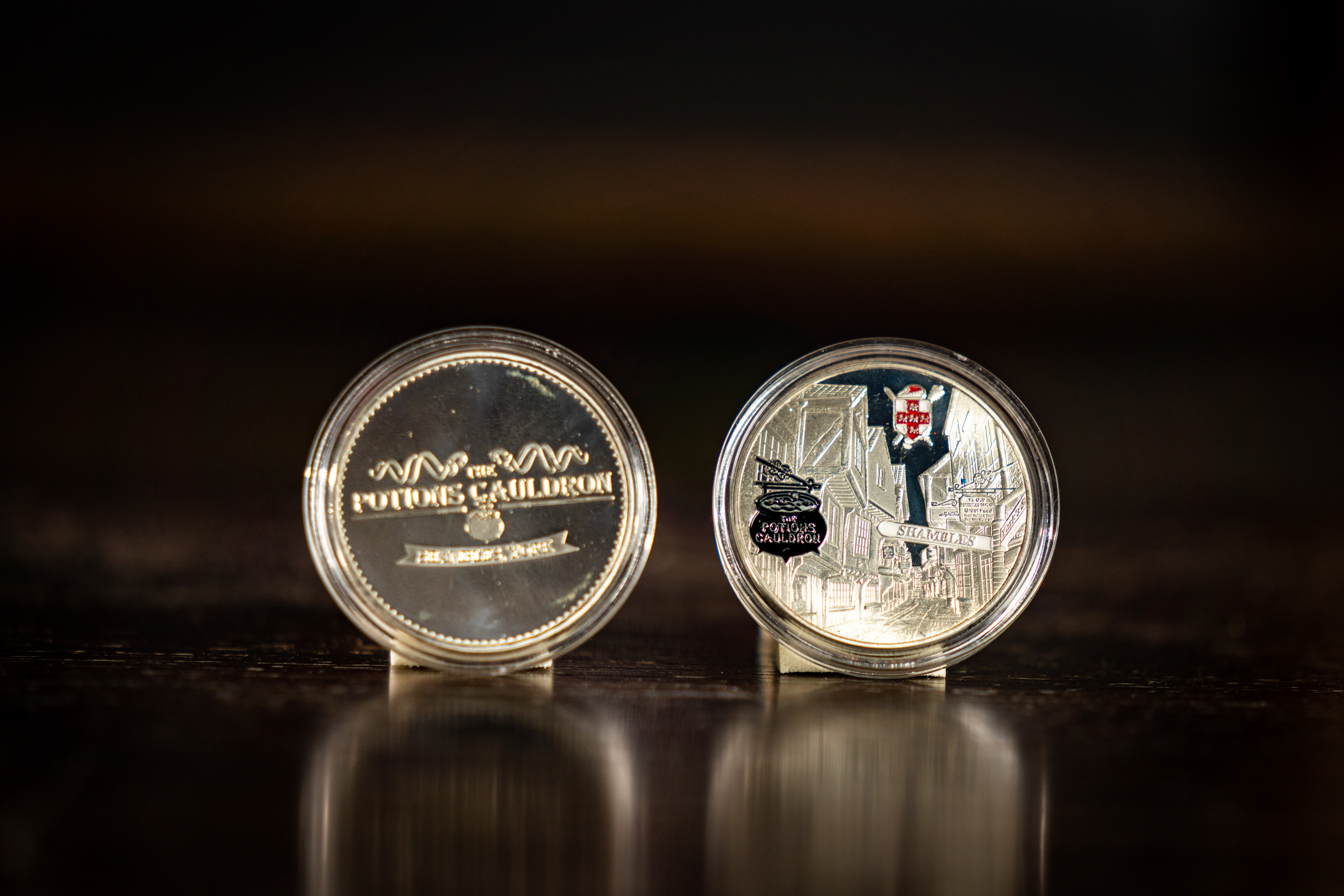 Picture of The Potions Cauldron Collector Coins